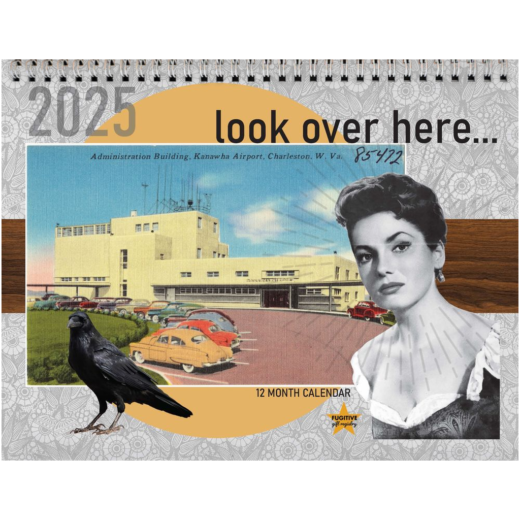 Look Over Here 2025 Wall Calendar